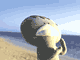 �J�b�p�r�[�`