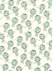 �J�b�p�`���V