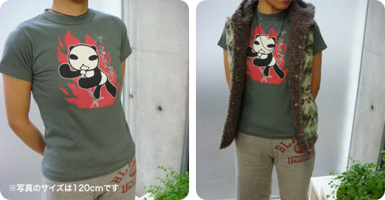 �q���p120cm